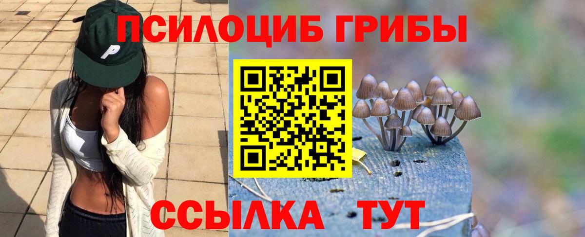 Дербент  Псилоцибиновые грибы прущие грибы  Вход с VPN 